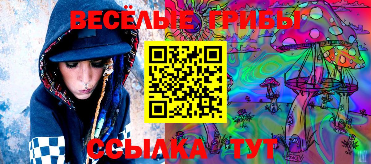 Псилоцибиновые грибы Psilocybine cubensis Конаково