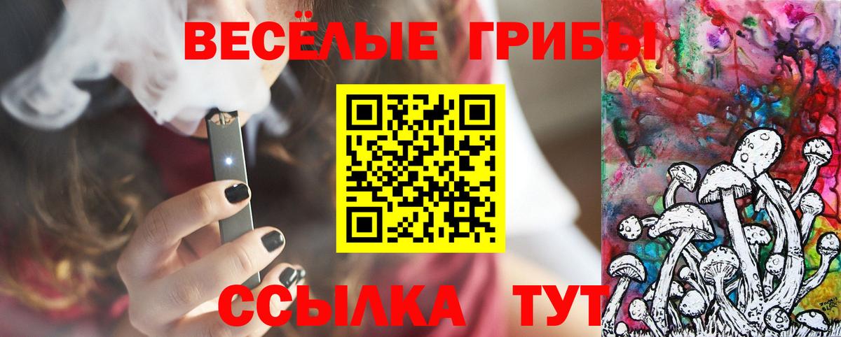 Конаково  Псилоцибиновые грибы Cubensis  Вход с VPN  Псилоцибиновые грибы GOLDEN TEACHER 